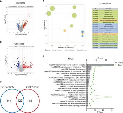ANGPTL2+cancer-associated fibroblasts and SPP1+macrophages are metastasis accelerators of colorectal cancer